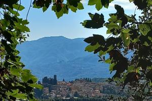 Barga, i colli del pascoli (Domenica 20 Settembre 2026)